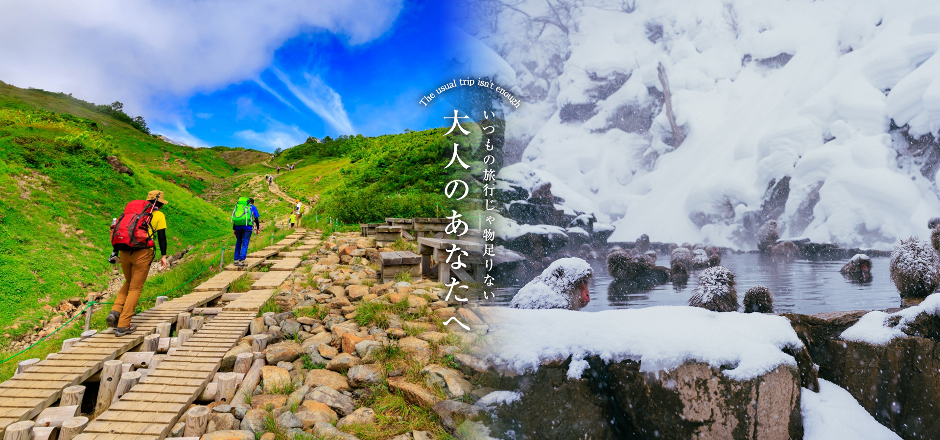 いつもの旅行じゃ物足りない大人のあなたへ
